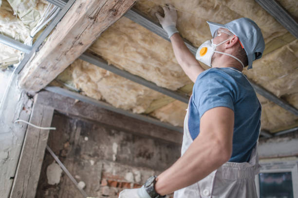 Best Specialty Insulation in Douglas, GA
