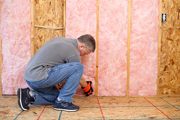 Best Residential Insulation in Douglas, GA